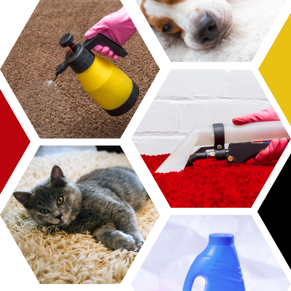 Pet and Odor Control