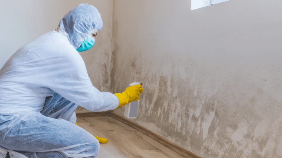 Mold, Lead and Asbestos Abateement