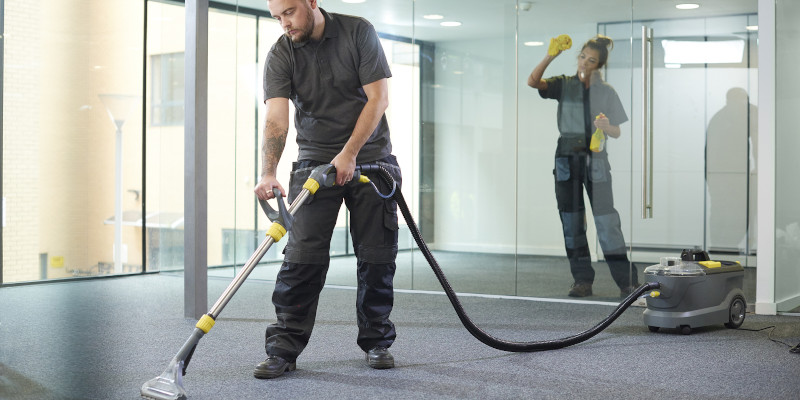 Extraction and Carpet Cleaning